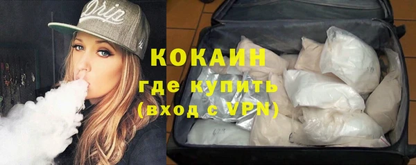 хмурый Белокуриха