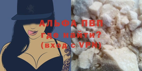 хмурый Белокуриха