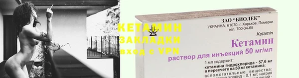 хмурый Белокуриха