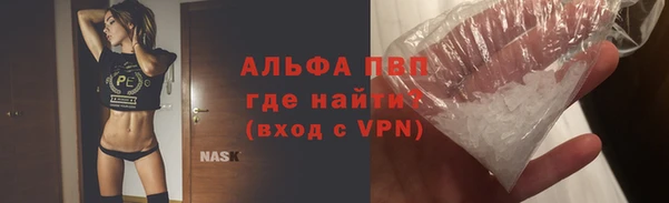 хмурый Белокуриха