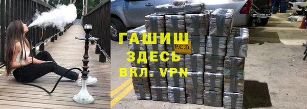 хмурый Белокуриха