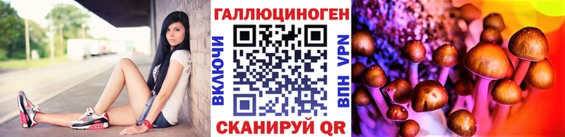 Псилоцибиновые грибы ЛСД  Купить  Буинск 